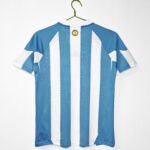 2010 season - Argentine home team's revival style - Image 2