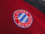 The 2001/02 season saw Bayern return to their traditional home style of play. - Image 8