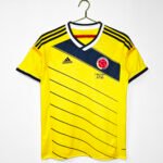 2014 season - Colombian home team's revival style