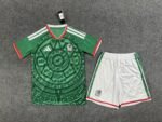 The home jersey set of the Mexican national team