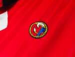 1994/95 season - Norwegian home team revival - Image 4