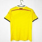 2014 season - Colombian home team's revival style - Image 2
