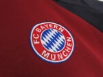The 2001/02 season saw Bayern return to their traditional home style of play. - Image 8