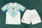 Portuguese national team's away jersey set