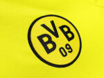 The 1995/96 season at Dortmund's home ground - Image 4