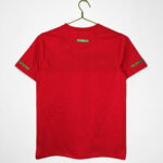 2010 season - Portuguese home team revival - Image 2