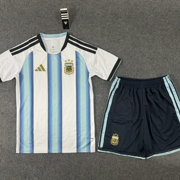 The home jersey set of the Argentina national team