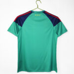 2010 Season - Spanish Goalkeeper - Retro Green Style - Image 6